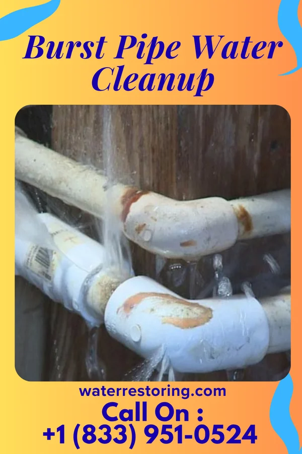 Burst Pipe Water Cleanup in Cole Camp, MO