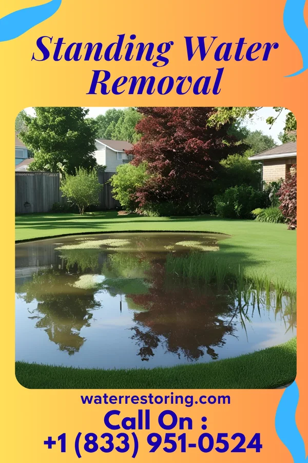 Standing Water Removal in Cole Camp, MO